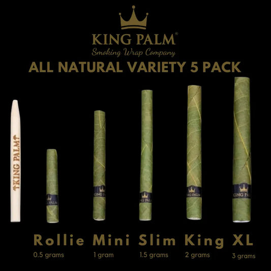 King Palm 5 Variety Pack (verschiedene Größen)